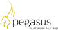 Pegasus Platinum Individual Award 2010